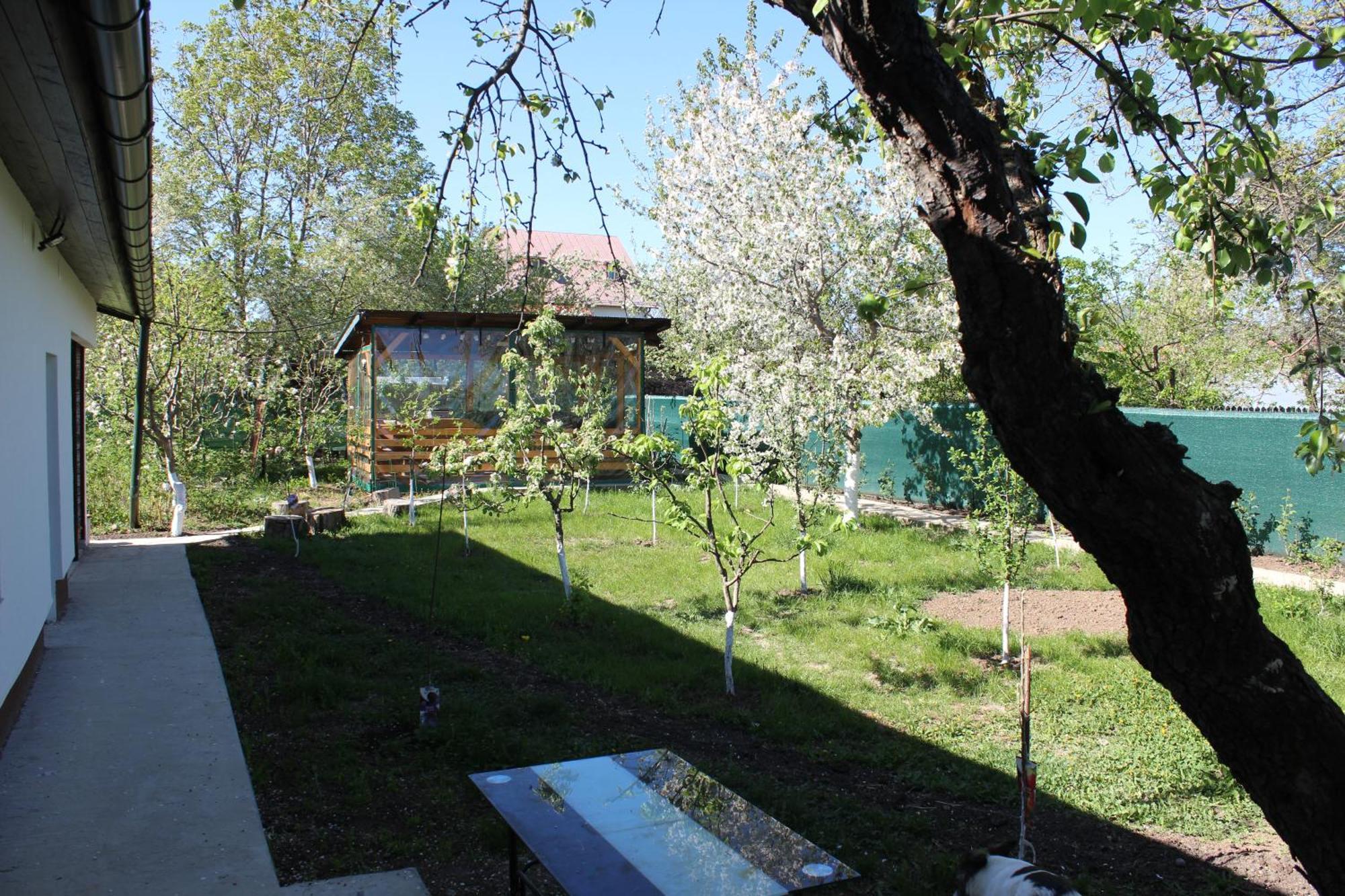 Villa Casuta Artistilor Breaza  Exterior foto